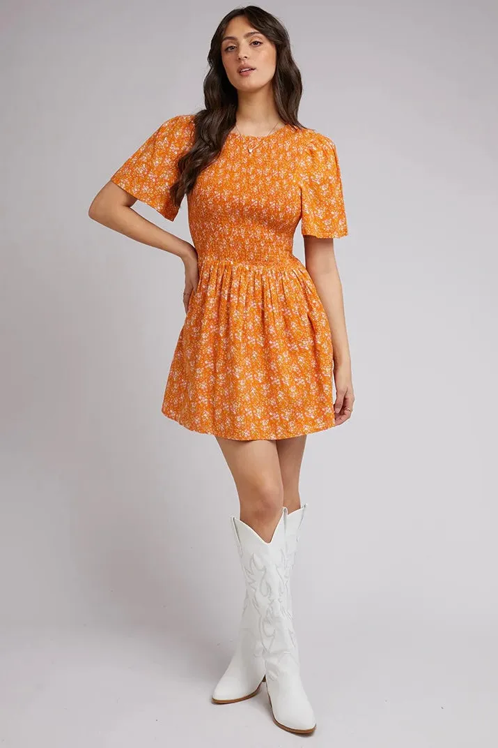 CLEMENTINE FLORAL MINI DRESS