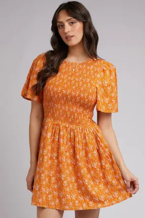 CLEMENTINE FLORAL MINI DRESS