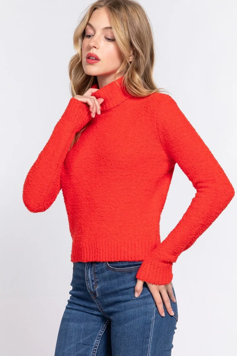 Long Sleeve Turtle Neck Sweater