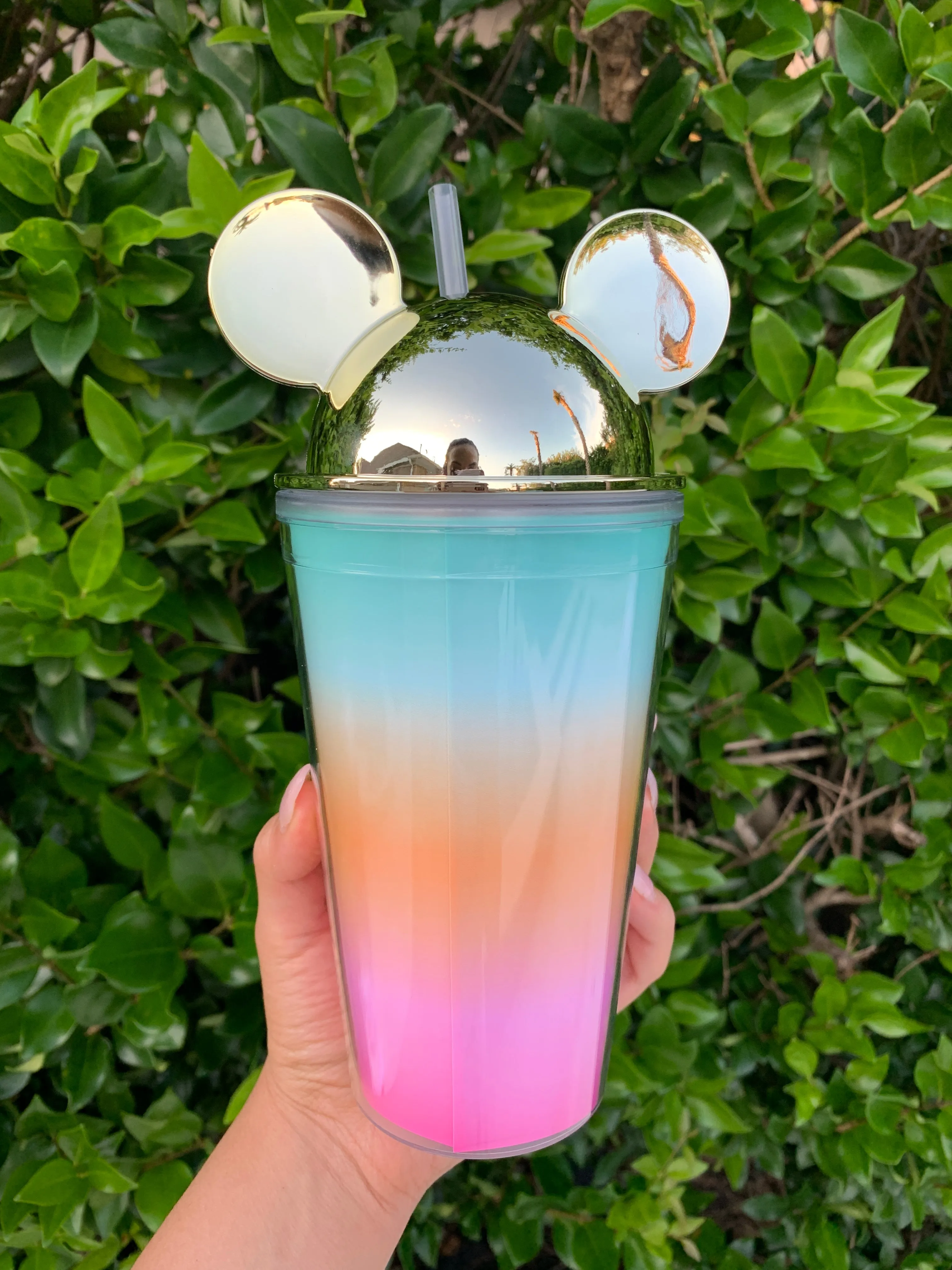 MAGICAL Kingdom Ears Cup